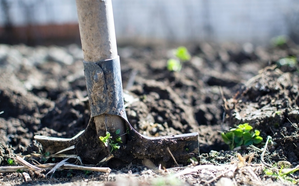 植树 种地 铲土 铁锨 农业 耕种 生活百科 生活素材