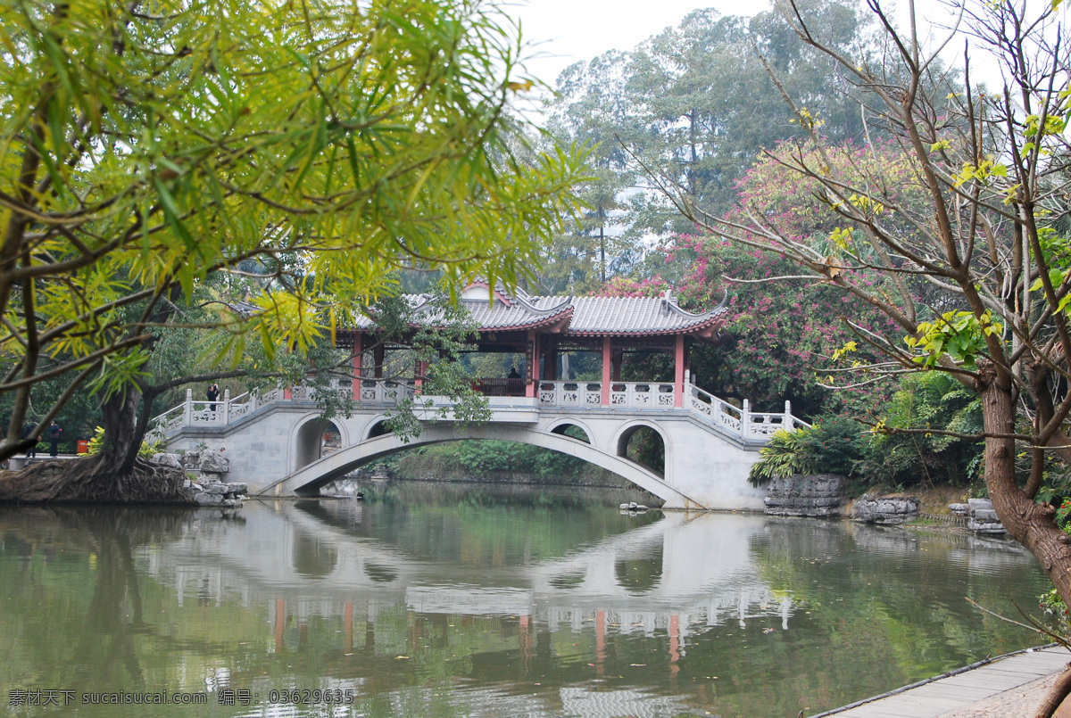 柳候公园 柳州 风景 绿色 树木 柳州柳候公园 自然风景 旅游摄影 国内旅游