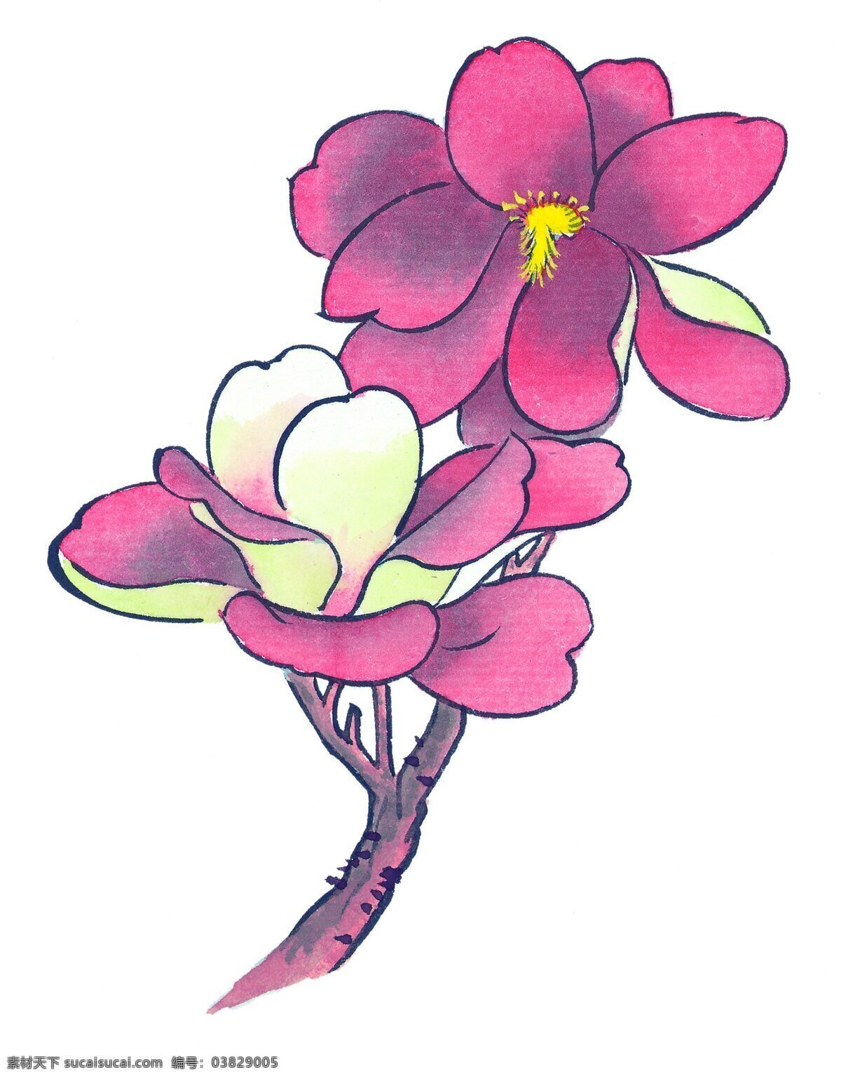 枝头 花朵 绘画 逼真 红色 鲜艳 文化艺术
