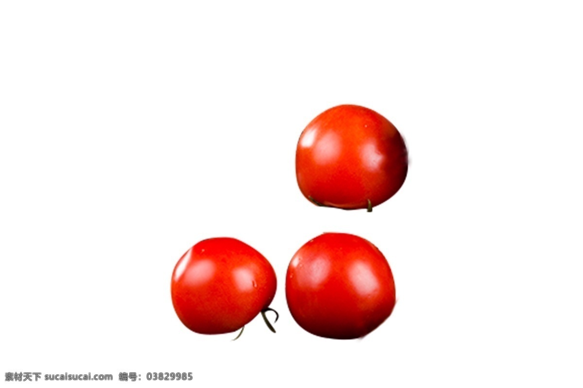 西红柿 食 材 矢量图 红色 美容 食物 食材 营养 烹饪 炒菜 零食 绿色健康美食 番茄矢量图 完整
