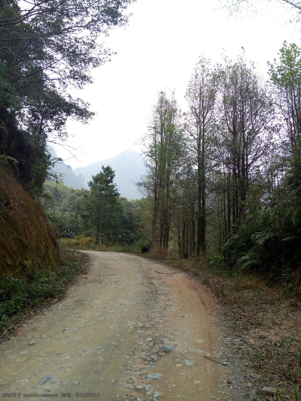 山路 绿树 自然风光 其他dpi 自然景观 自然风景