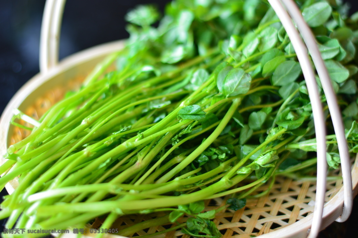 野菜 野芹菜 绿色菜 绿色菜肴 蔬菜 时令菜 餐饮美食 传统美食