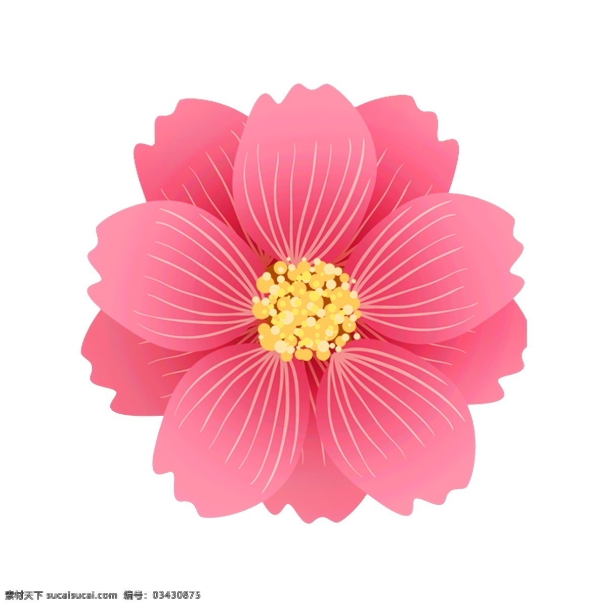 淡 粉色 花卉 手绘 透明 鲜花 png元素 装饰图案 免扣素材 透明素材
