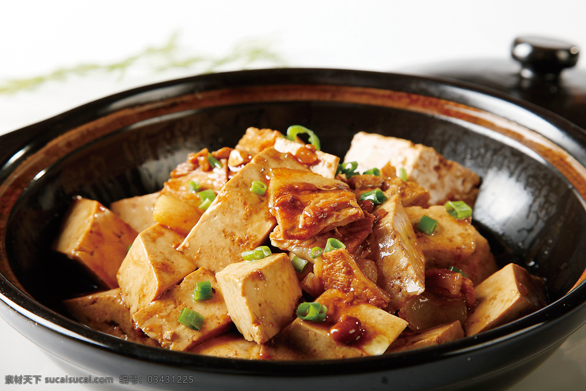 小炒肉炖豆腐 美食 传统美食 餐饮美食 高清菜谱用图