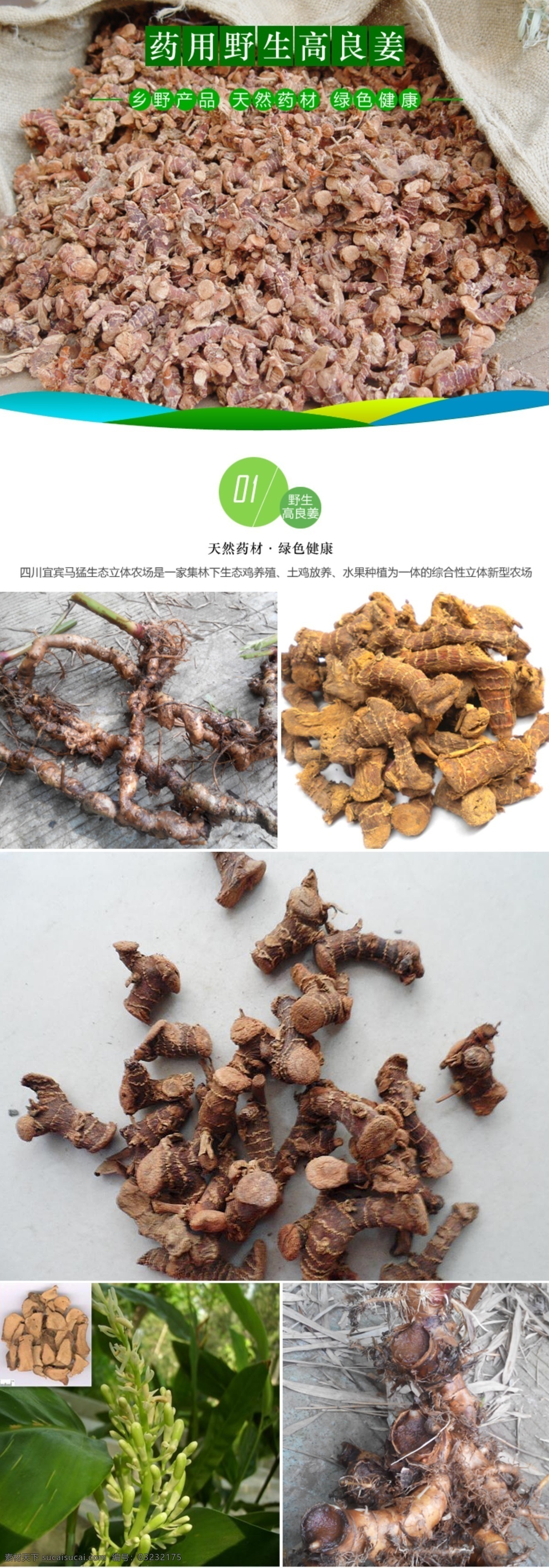淘宝 药材 高良姜 详情 商品 店铺 宝贝 详情页 详情设计 详情模板 淘宝药材详情 共享设计 web 界面设计 中文模板