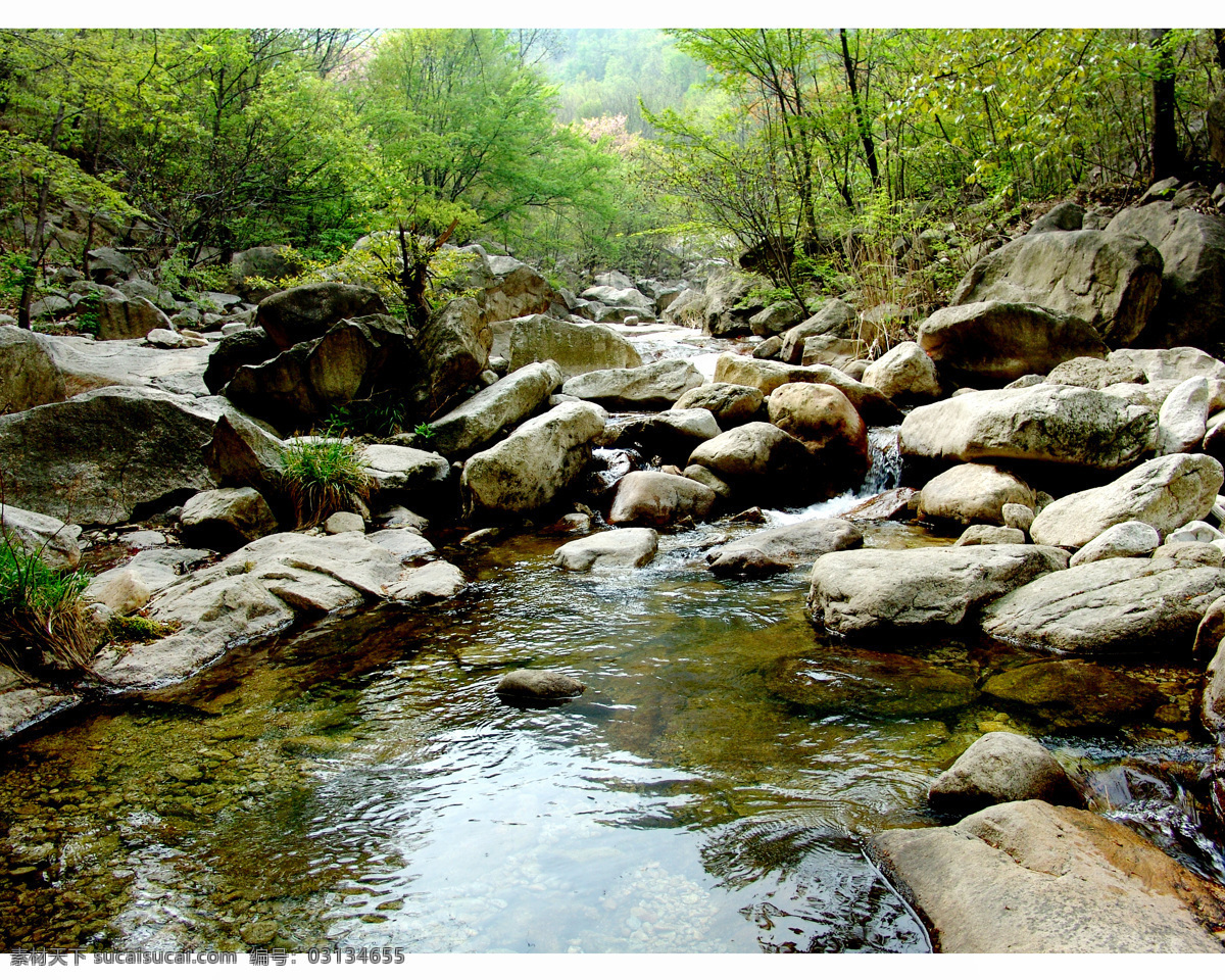 绿意山水 旅游 山林 美丽 自然 自然风景 自然景区 绿色 凉爽 山区 山水 溪水 小溪 石头 石 国内旅游 旅游摄影