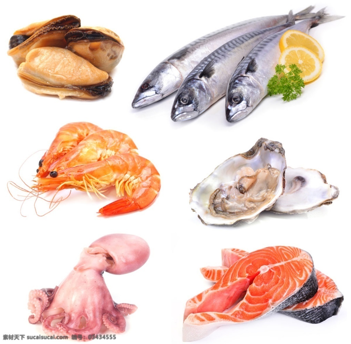 海鲜 鱿鱼 扇贝 水果 柠檬 海洋生物 龙虾 食物 厨房 美食 贝壳 虾 鱼 海洋 生物