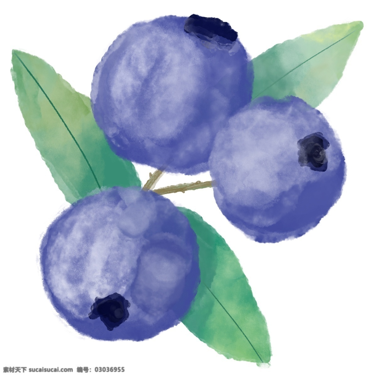 水彩风蓝莓 水果 蓝莓 夏季 清新 叶子 三个 装饰
