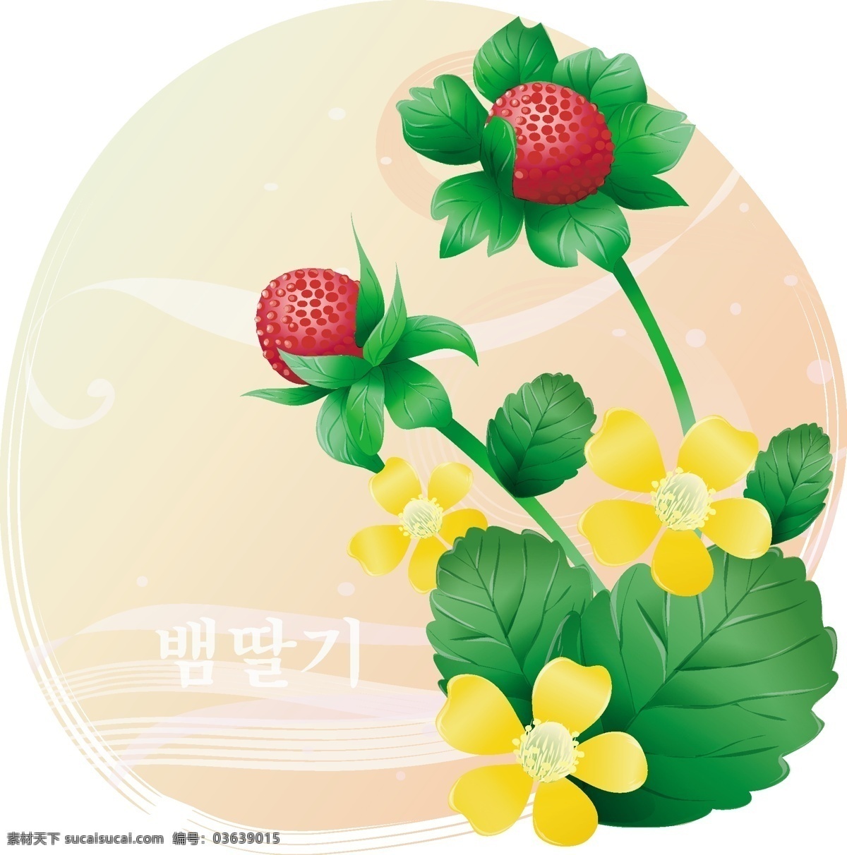 韩国 边框 野 草莓 底纹 韩国插图 花朵 矢量图 其他矢量图