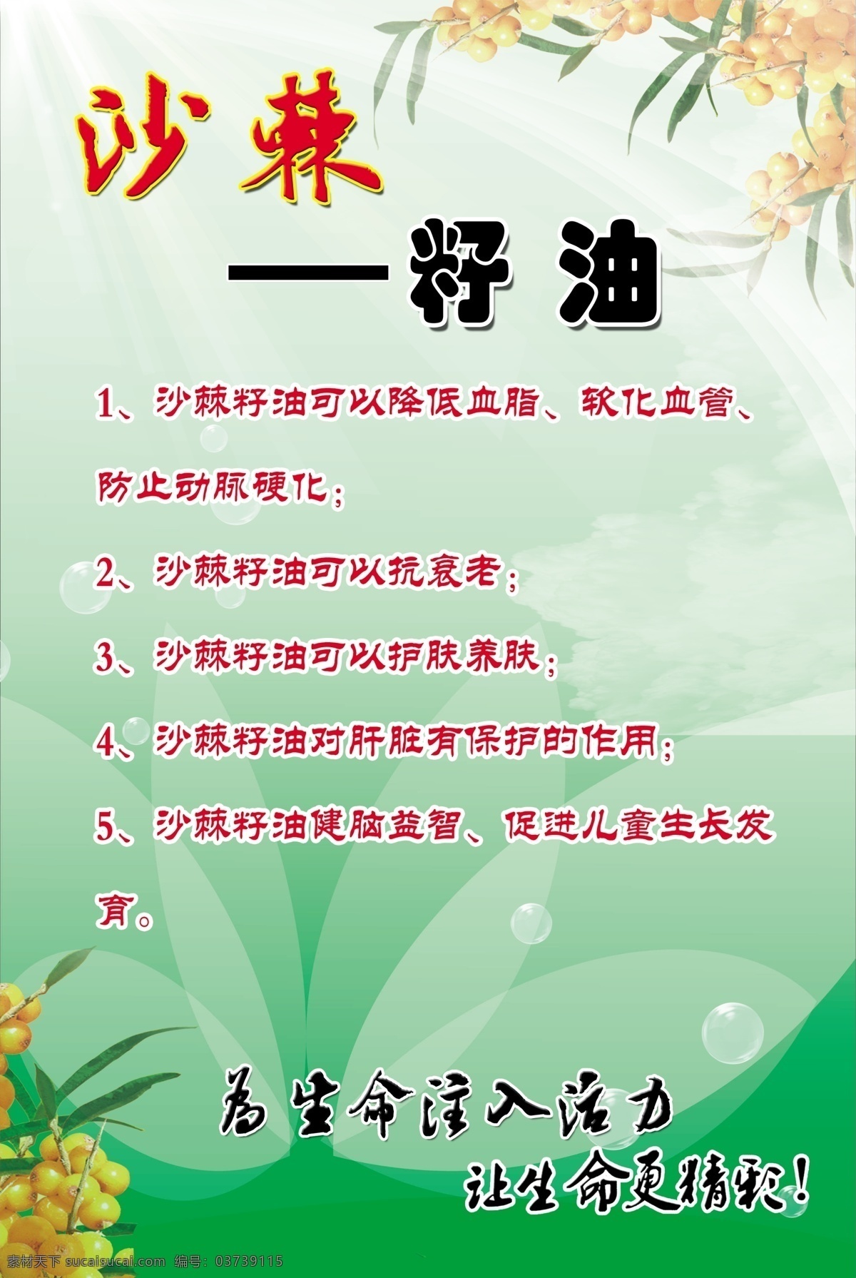 沙棘 莹之雪 沙棘养生钙 和润益生 保健品 新生活 纽崔莱 安利 沙棘籽油 沙棘果油 太阳神 养生品 沙棘亚麻油 沙棘果粉 广告设计模板 源文件