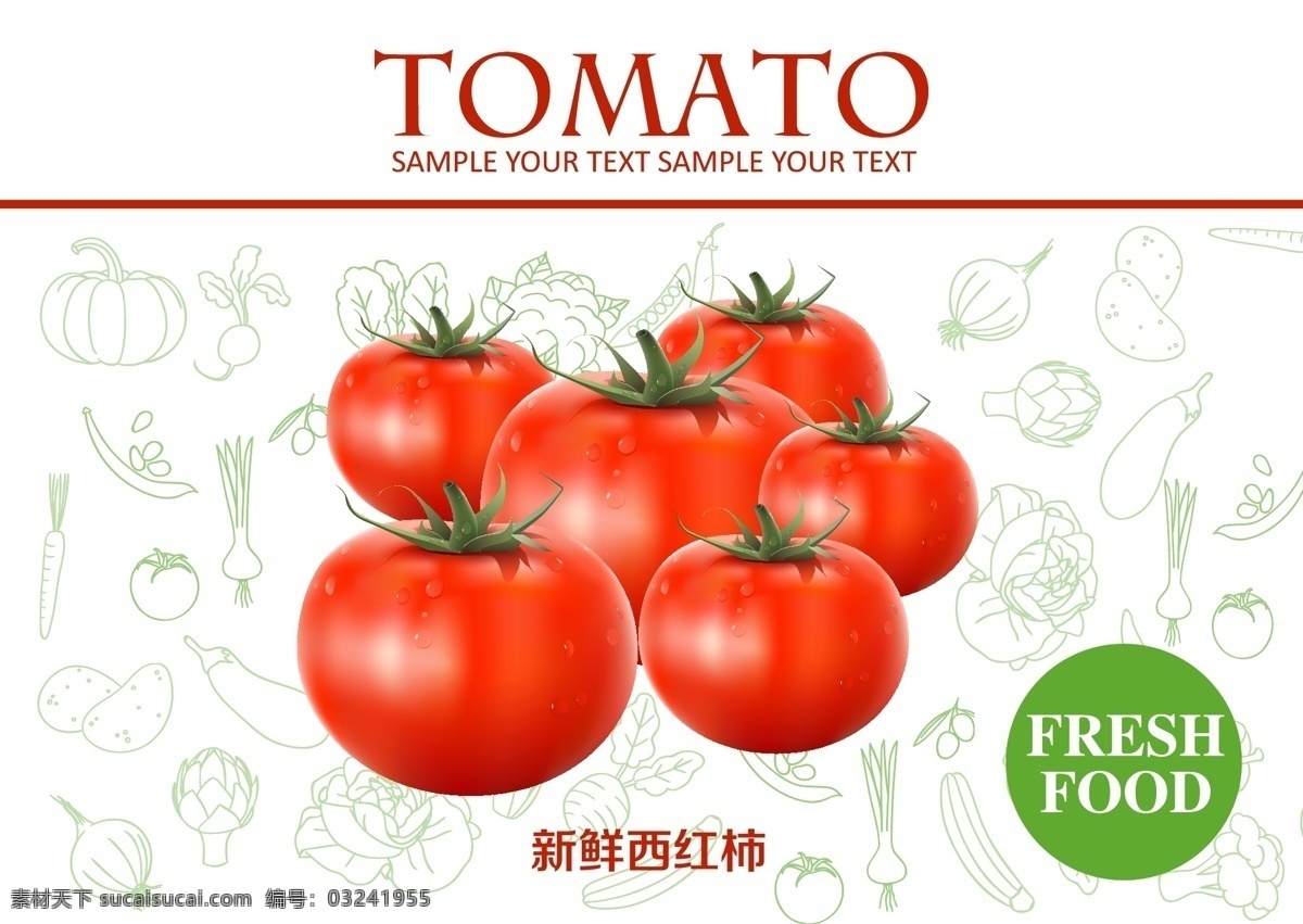 新鲜 西红柿 番茄 蔬菜 水果 露珠 水珠 矢量图