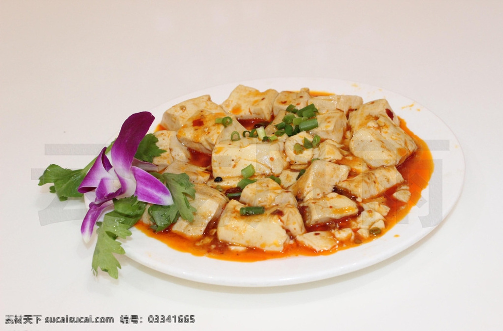 麻婆豆腐 麻婆 豆腐 酱烧豆腐 烧豆腐 热菜 餐饮美食 传统美食