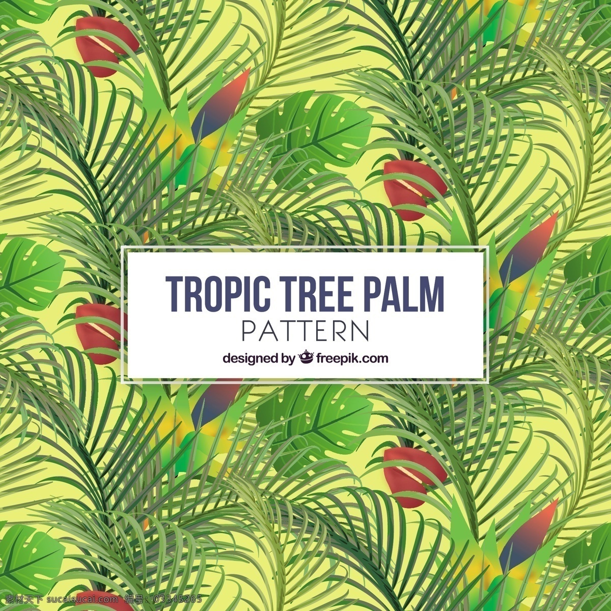 棕榈树 欢乐 背景 树木 树叶 夏天 自然 热带 植物 环境 自然背景 palm 棕榈叶 天堂 树干 异国情调