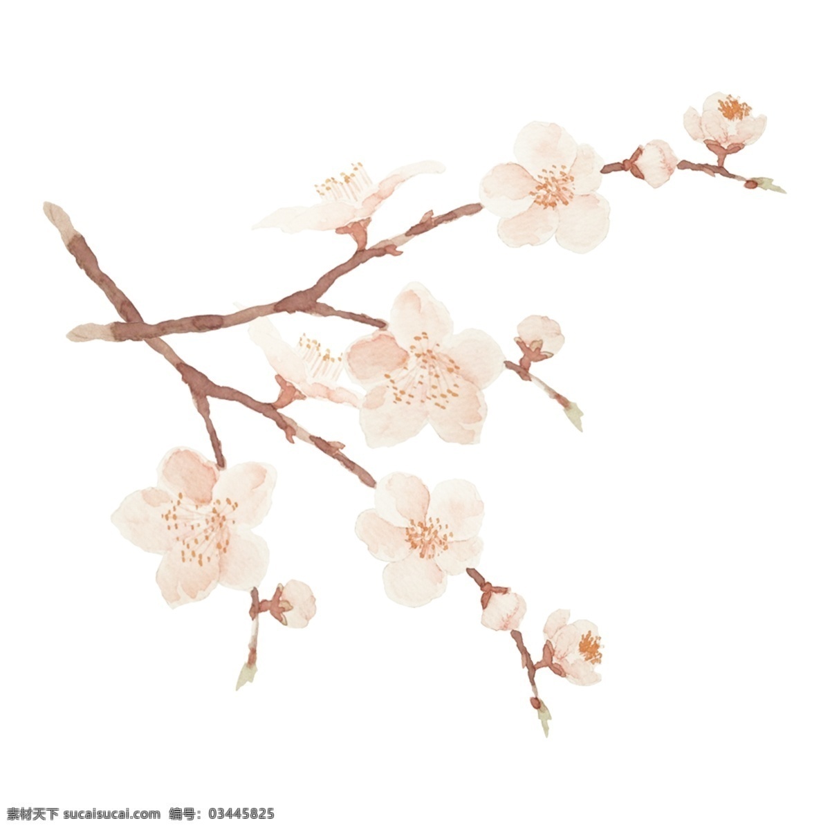 卡通 手绘 花枝 透明 节日元素 红色灯笼 春节元素 透明素材 免扣素材 花枝背景