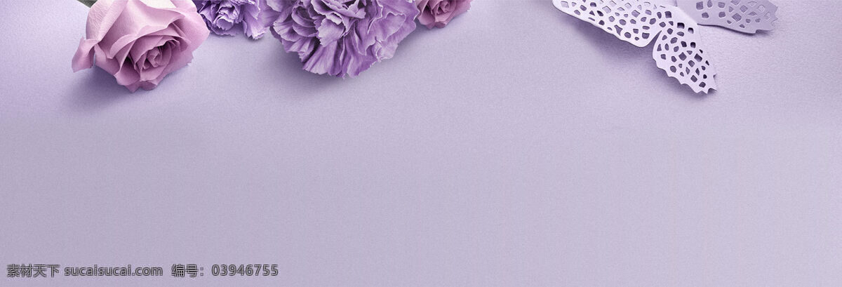 简约 紫色 玫瑰 banner 背景 浪漫 大气 海报背景