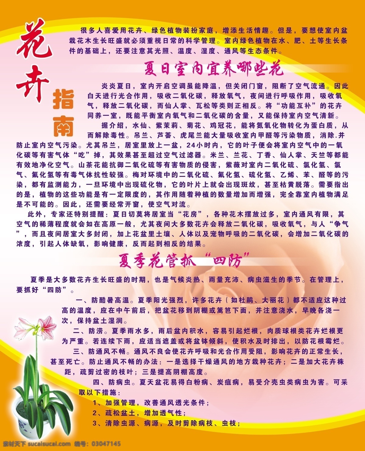 分层 花 花卉 源文件 展板 指南 模板下载 花卉指南 夏日 室内 宜 养 哪些 夏季 抓 四 防 psd源文件
