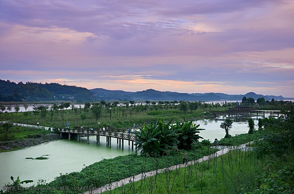 湿地公园 彭山 湿地 公园 晚霞 紫霞 田园风光 自然景观 灰色