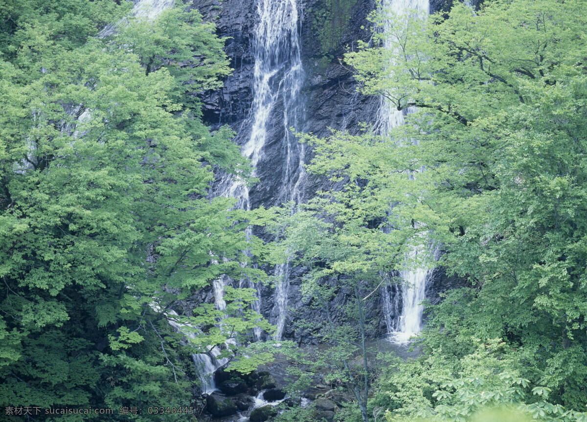 高山 绿树 瀑布 景色 青山 河流 树木 树林 岩石 石头 青草 景观 自然景色 野生 旅游 高清图片 瀑布图片 风景图片