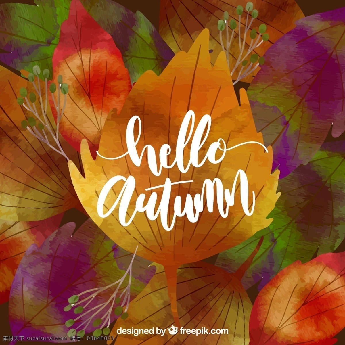 丰富多彩 秋天 背景 水彩 水 手 叶 自然 油漆 水彩背景 壁纸 艺术 色彩 树叶 优雅 墨水 颜色