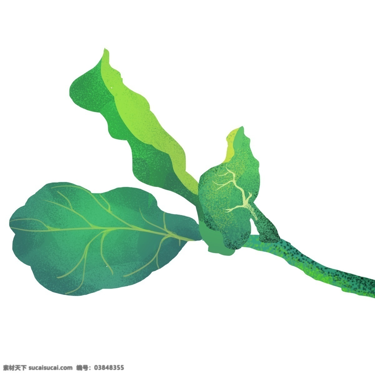 绿色 植物 叶子 插画 绿色的叶子 卡通插画 叶子插画 树叶插画 花叶插画 植物插画 蔬菜的叶子
