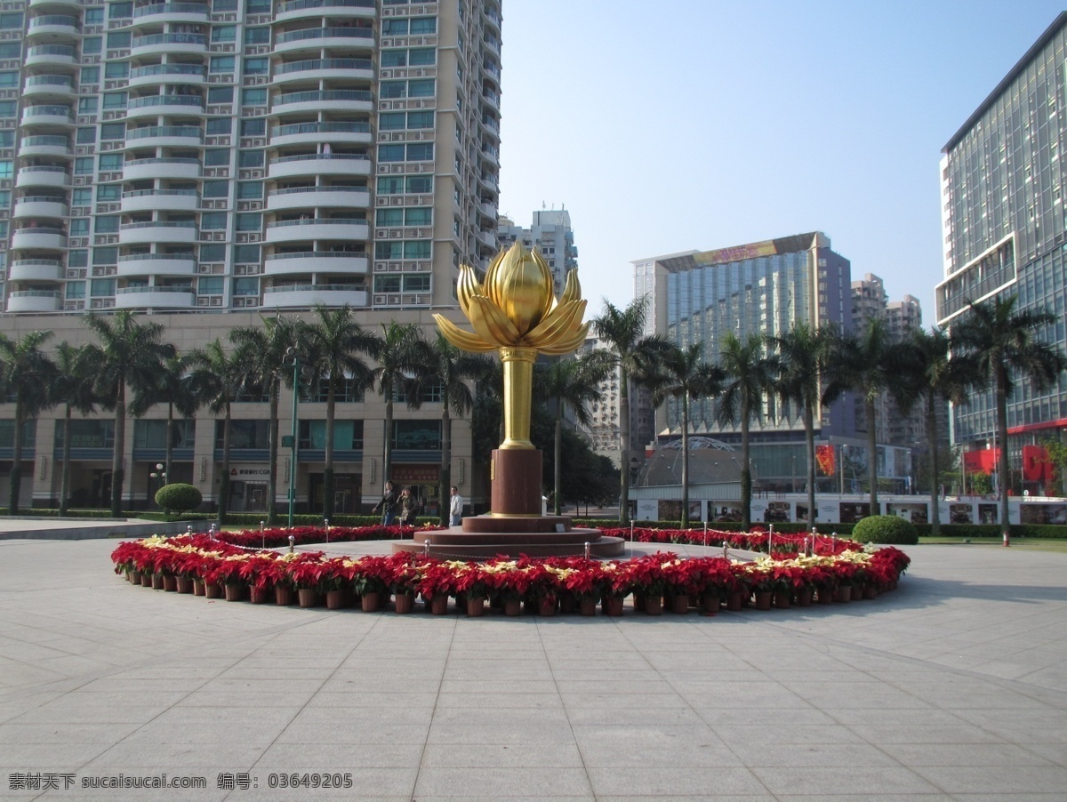 澳门风光 金紫荆广场 国内旅游 旅游摄影