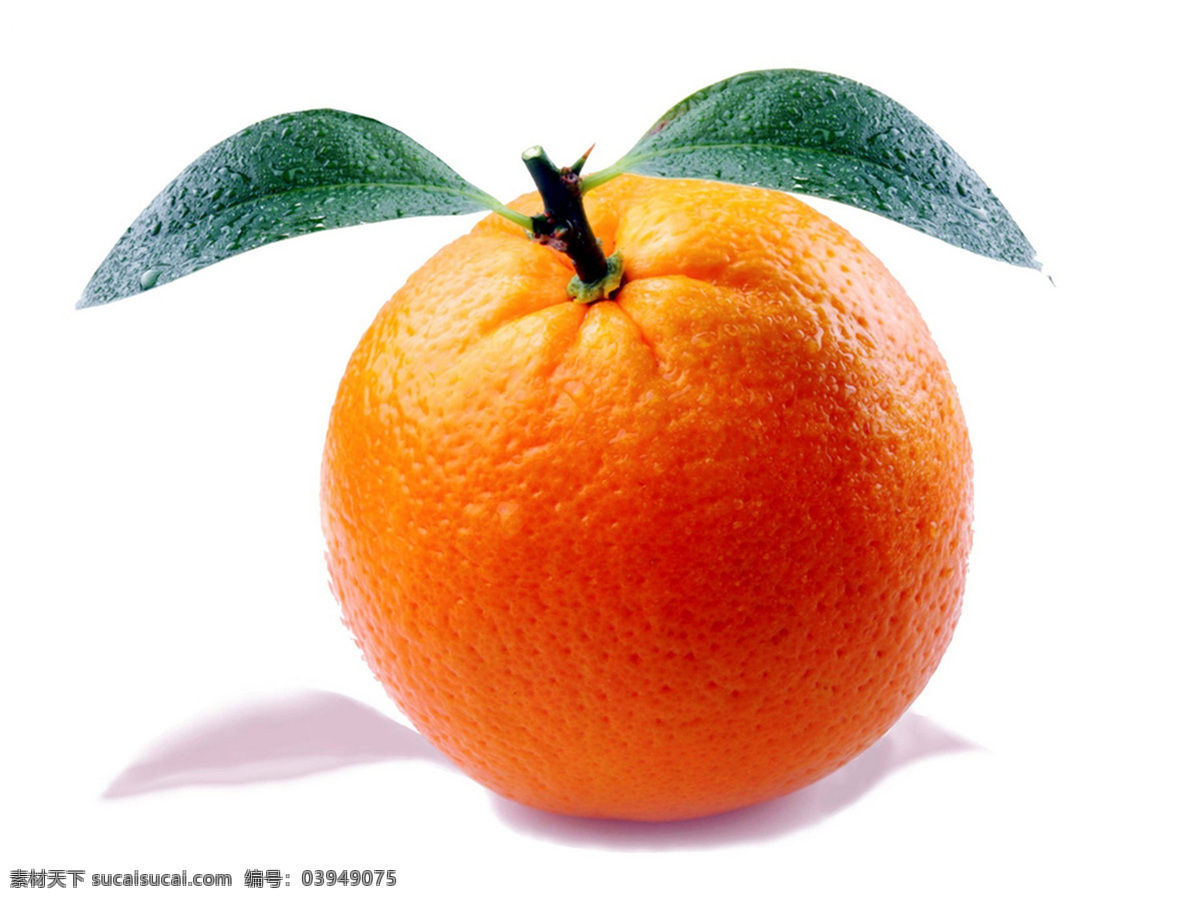 剥皮橘子 桔子 一个橘子 高清橘子 橘子水珠 白底橘子 橘子照片 橘子摄影 自然 健康 水果 柑橘 橙色 新鲜水果 健康水果 甜 橘子特写 橘子皮 生物世界