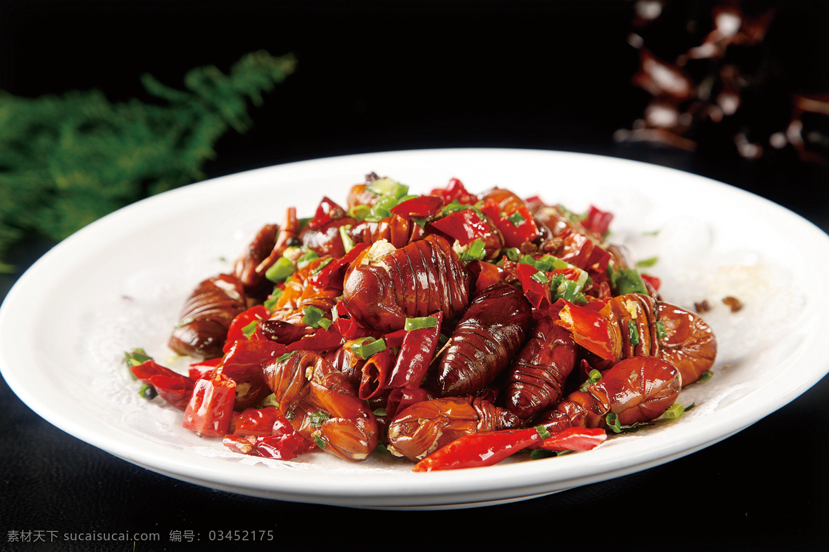 煸炒蚕蛹 美食 传统美食 餐饮美食 高清菜谱用图