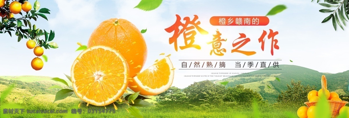 脐橙 水果 淘宝 海报 banner 橙子 赣南脐橙 脐橙轮播图