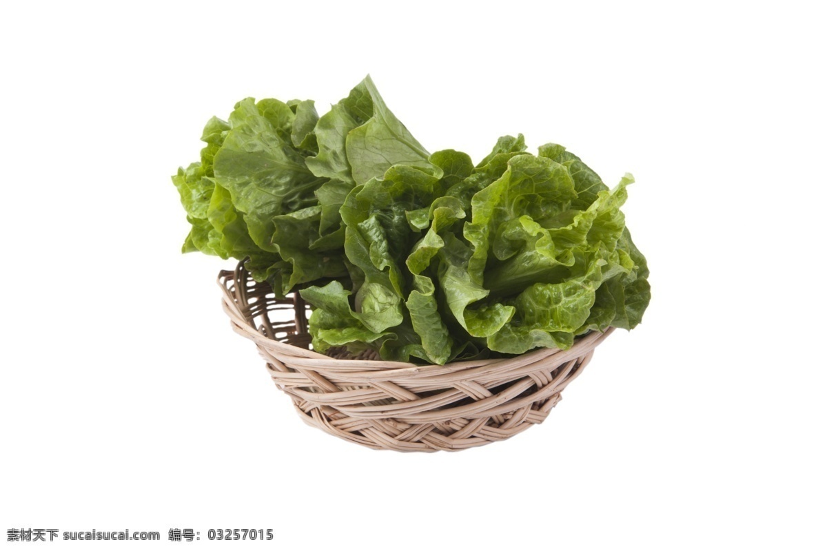 篮子 新鲜 生菜 竹篮子 绿色的生菜 蔬菜 绿色食品 健康 营养 嫩绿 植物 清新 生长 绿叶 自然 青菜 食物