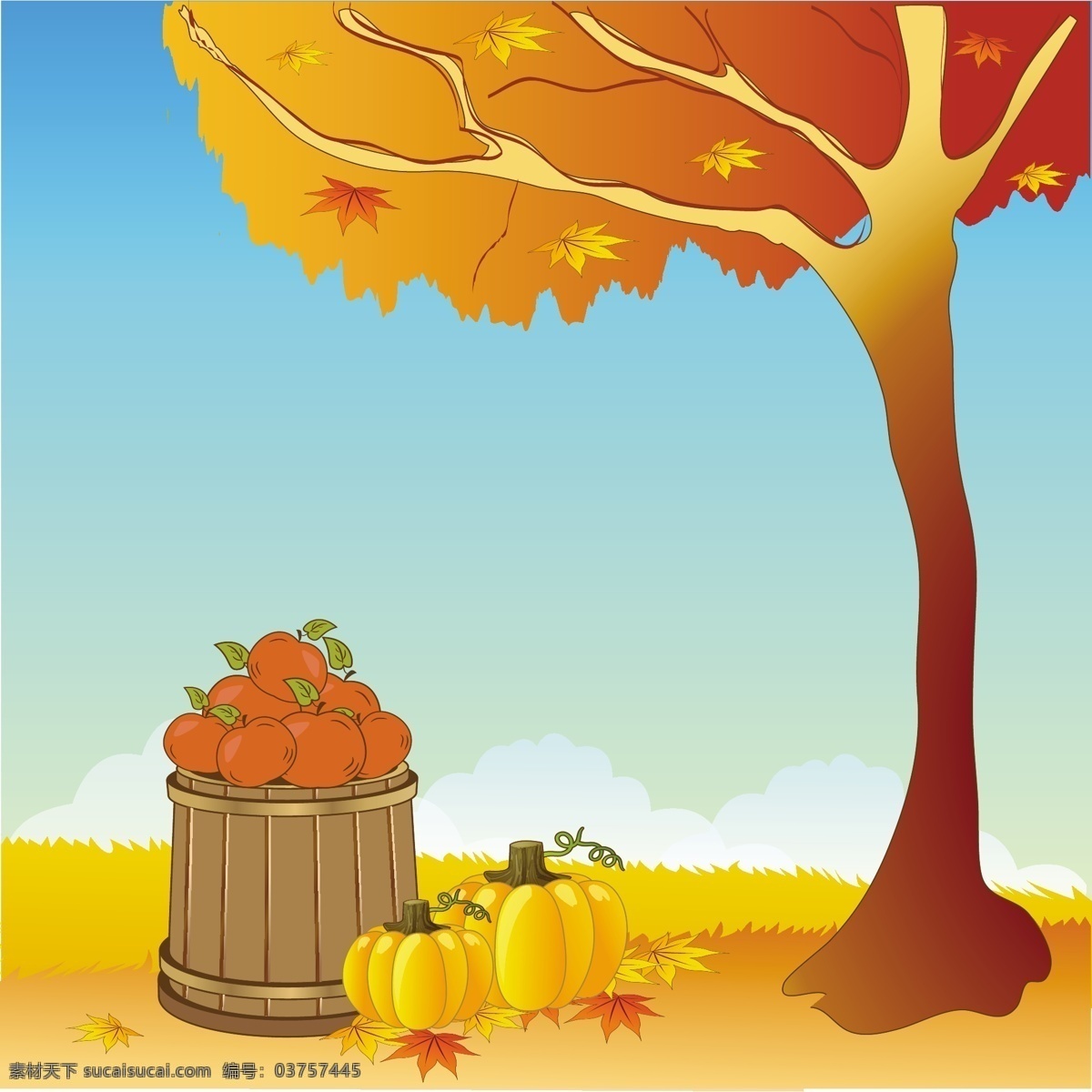 秋天的背景 背景 树 金 云 自然 天空 树叶 秋天 美丽 快乐 颜色 感恩节 景观 苹果 橙色 标志 事件 南瓜 黄色