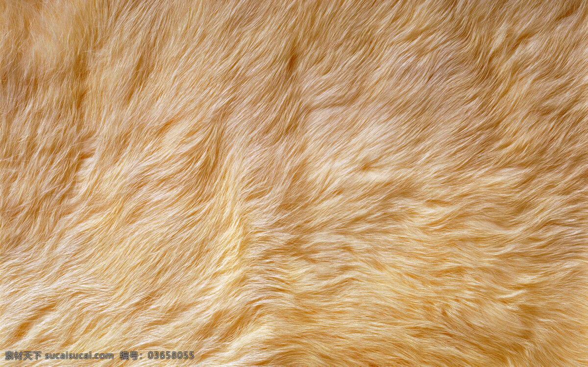动物毛 背景 背景素材 摄影图库