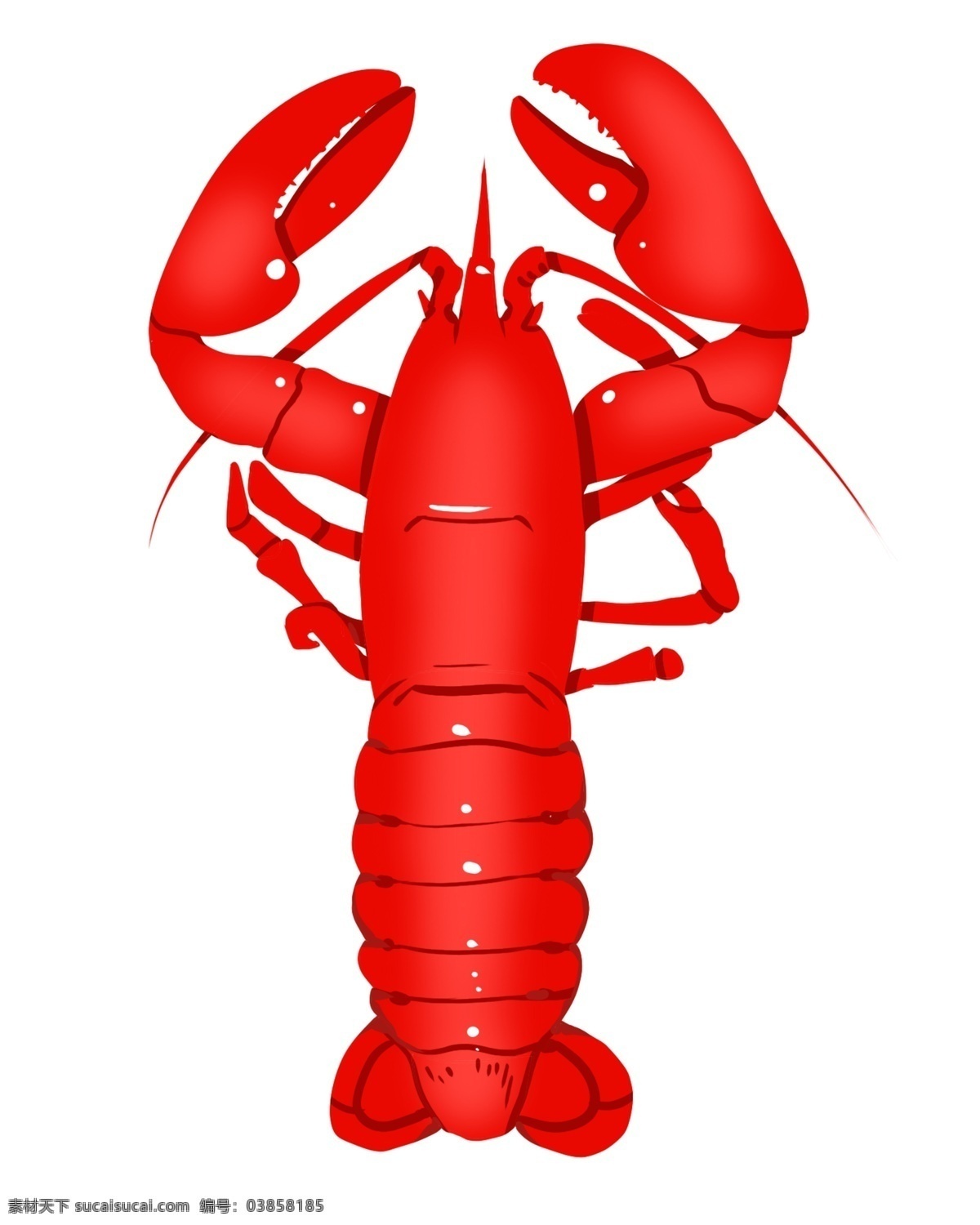 动物 龙虾 美食 插画 红色的龙虾 卡通插画 动物插画 龙虾插画 动物龙虾 美食龙虾 美味的龙虾