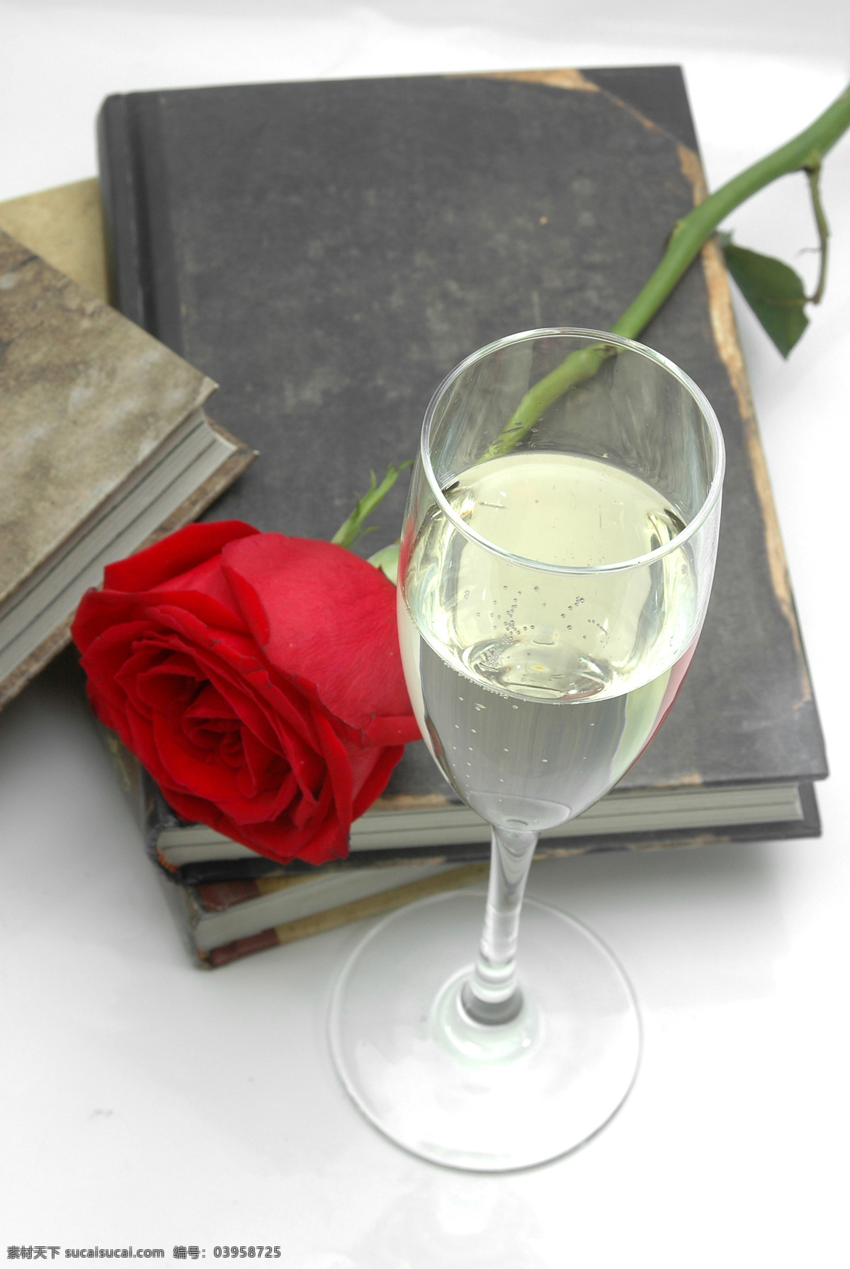 玫瑰花 书本 书与花 红玫瑰 酒杯 高脚杯 鲜花 花朵 百花争艳 花草 生物世界