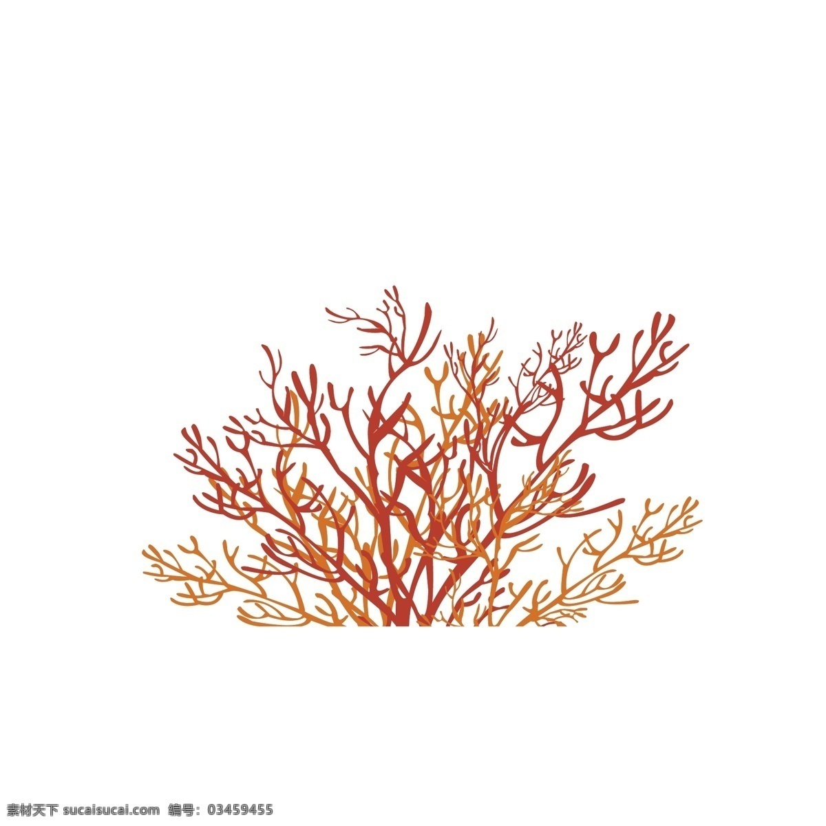 珊瑚图片 红色珊瑚 海藻 海底生物 红色 海草 生物世界 海洋生物