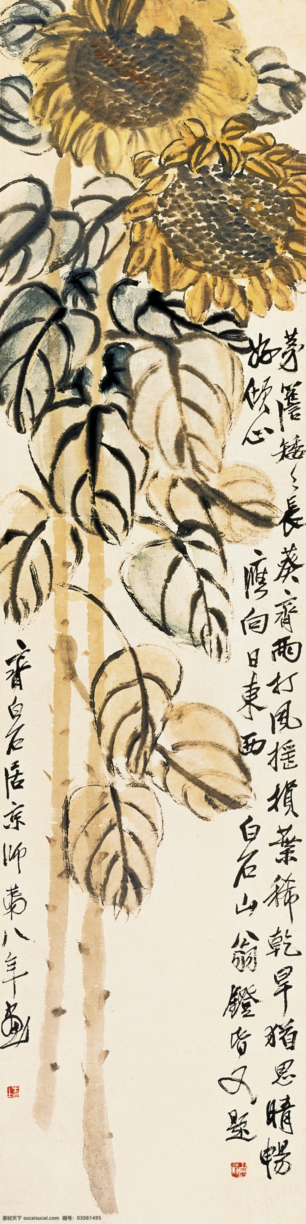 向日葵 齐白石国画 齐白石 齐璜 国画 工笔画 水墨画 白石老人 树木 山水 写意 花鸟 书画 文化艺术 印章 绘画书法 设计图库 瓜子