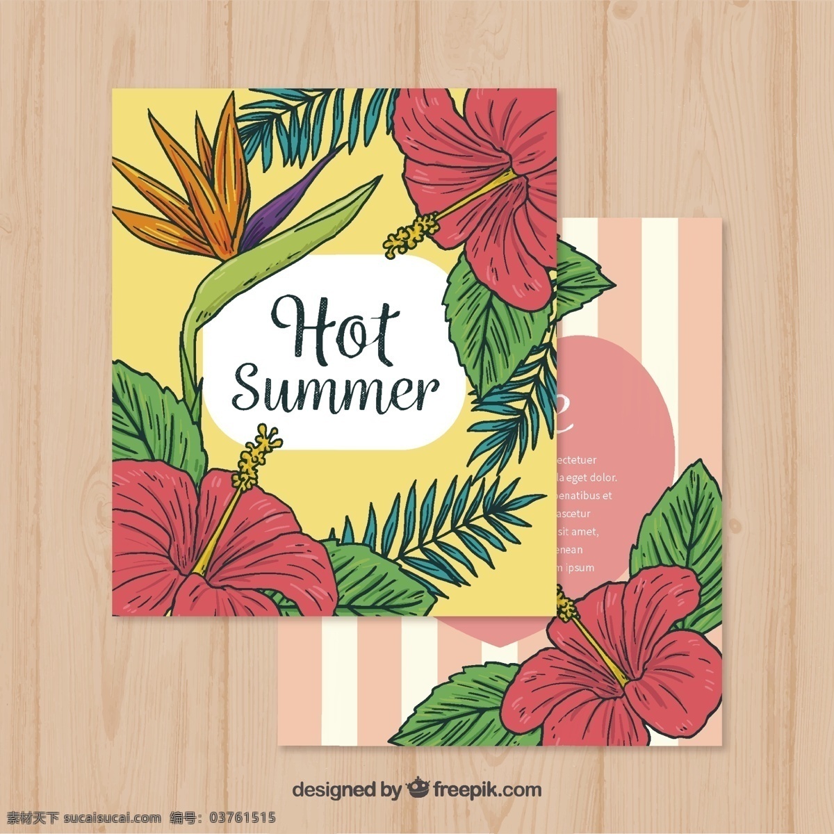 热带 花卉 夏季 贺卡 自然 树叶 植物 棕榈 印刷 开花 美丽 热带花卉 野生 棕榈叶 盛开 准备好了