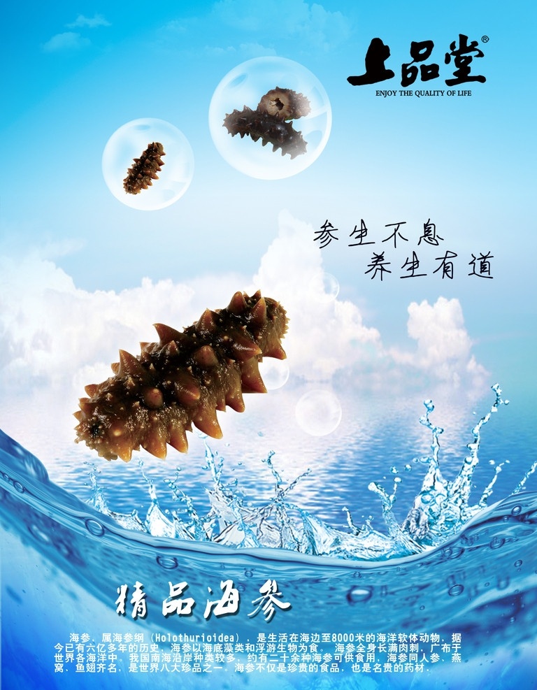 上品堂 海参 精品海参 分层 源文件