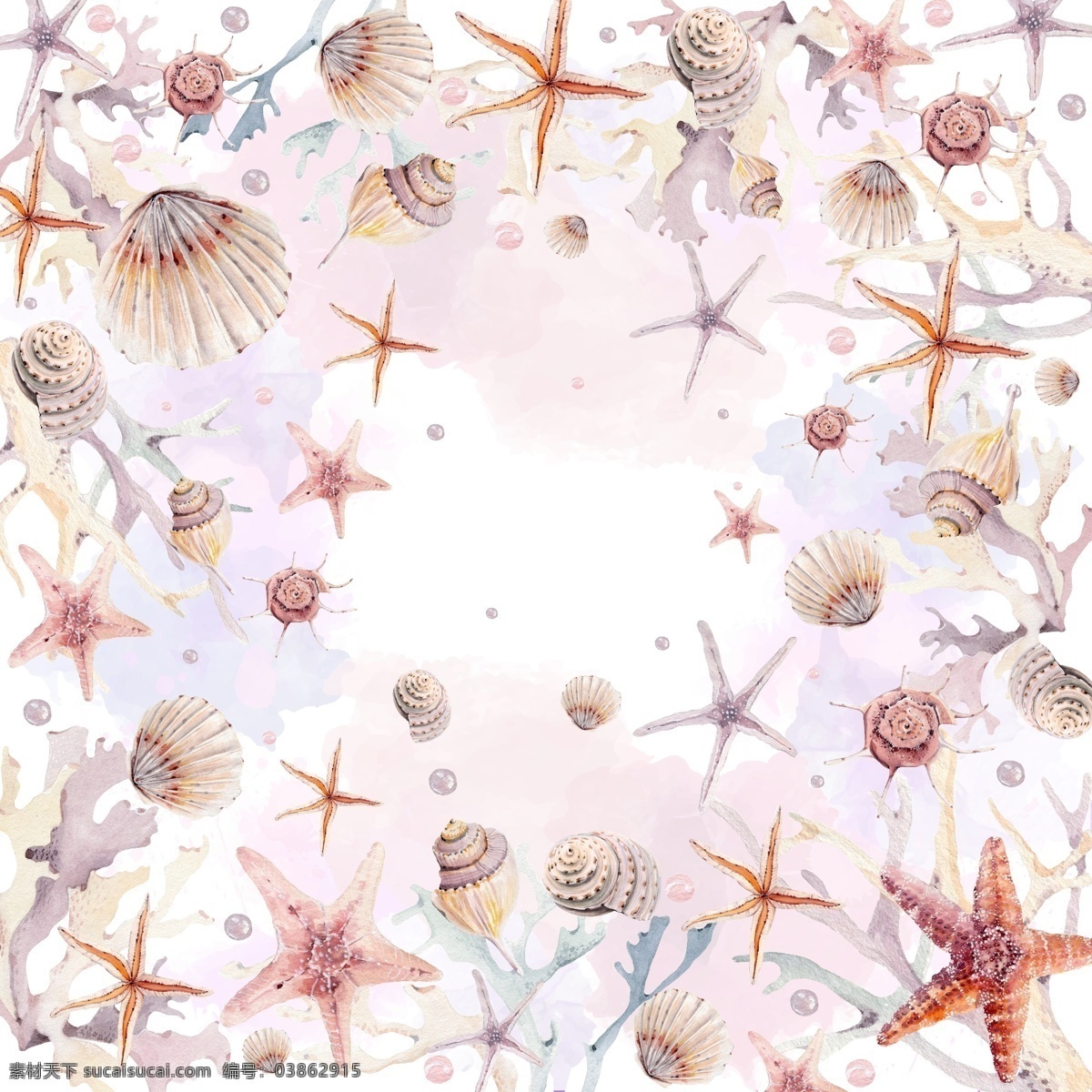 贝壳 海鲜 海星 海滩 沙滩 陀螺壳 生物世界 海洋生物