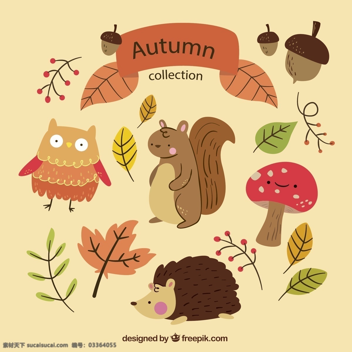 秋季 叶子 动物图片 橡子 松鼠 刺猬 猫头鹰 蘑菇 矢量 高清图片