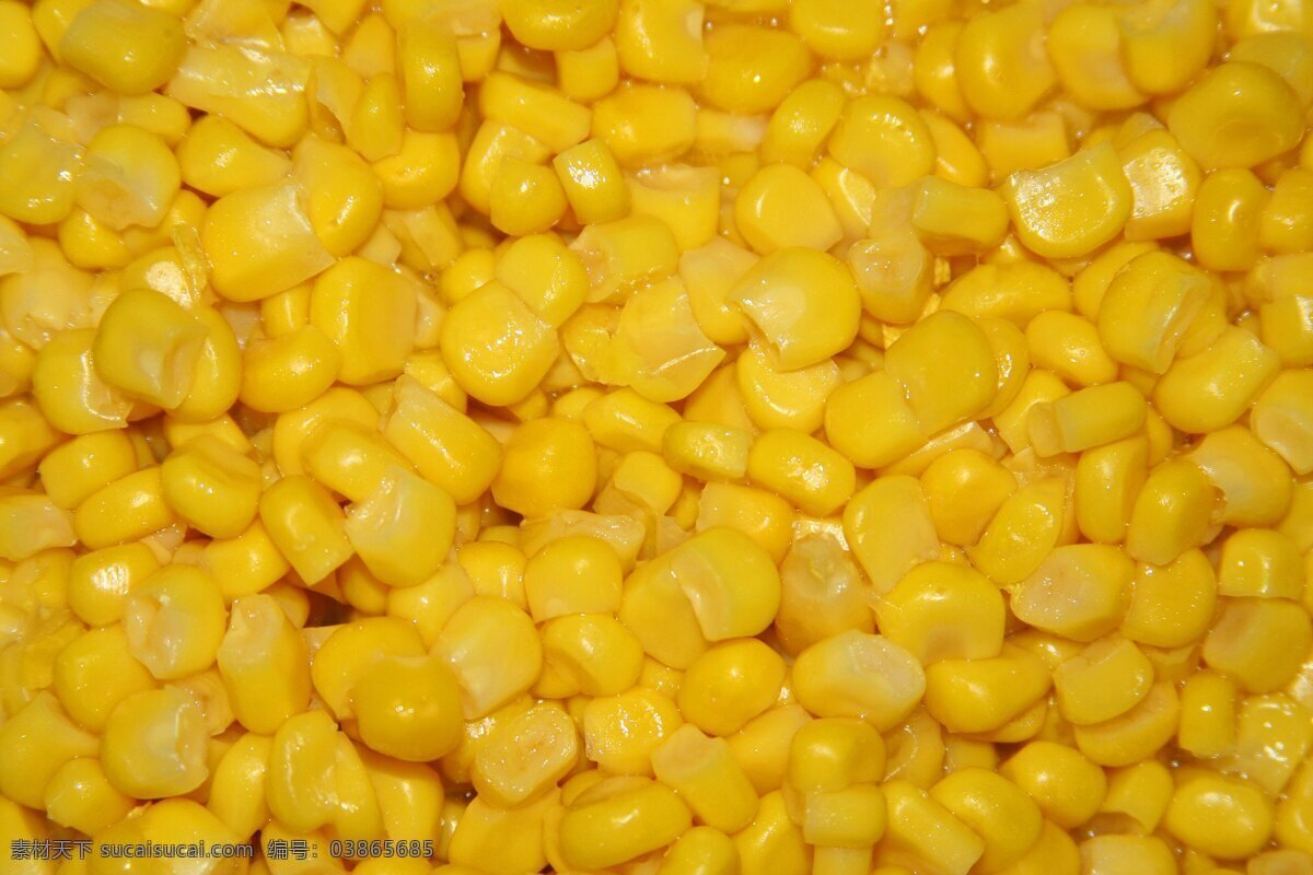 玉米 植物 熟玉米粒 玉米粒素材 甜玉米 甜玉米粒 粒 嫩玉米 素材类