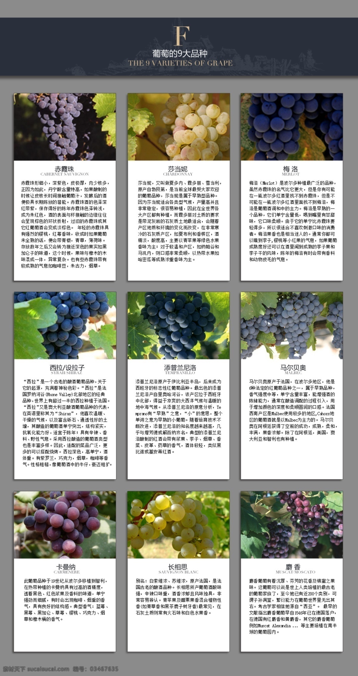 葡萄 大 品种 葡萄品种 葡萄品种介绍 高档葡萄酒 中文模版 网页模板 源文件