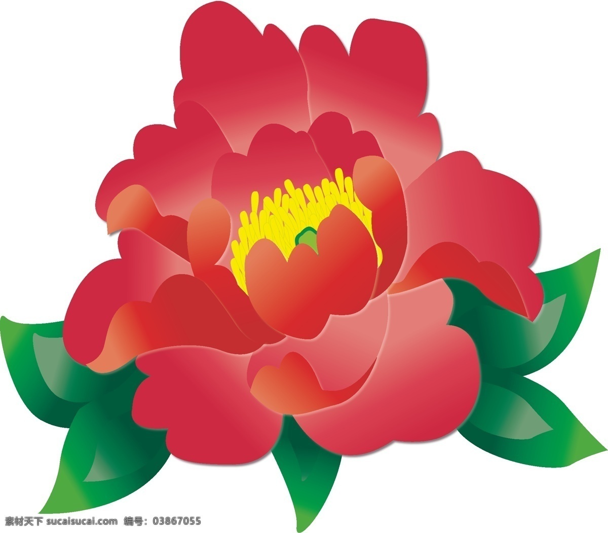 手绘 国色天香 牡丹花 商用 元素 花卉 植物