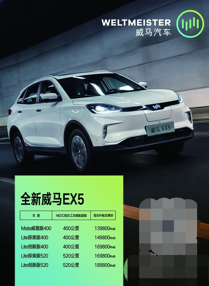 威马 汽车 上市 海报 电动
