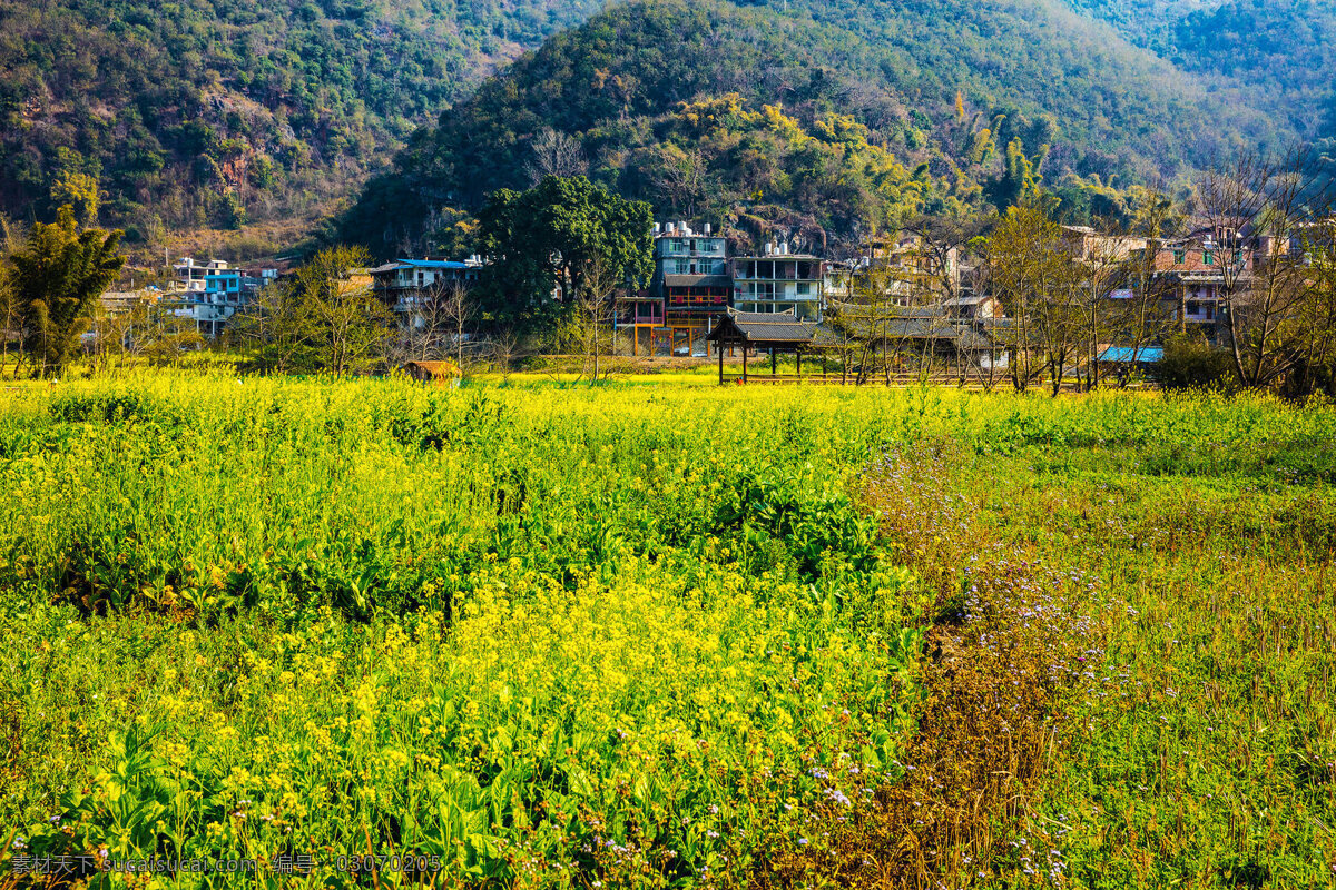 广西 桂林 世外桃源 风景