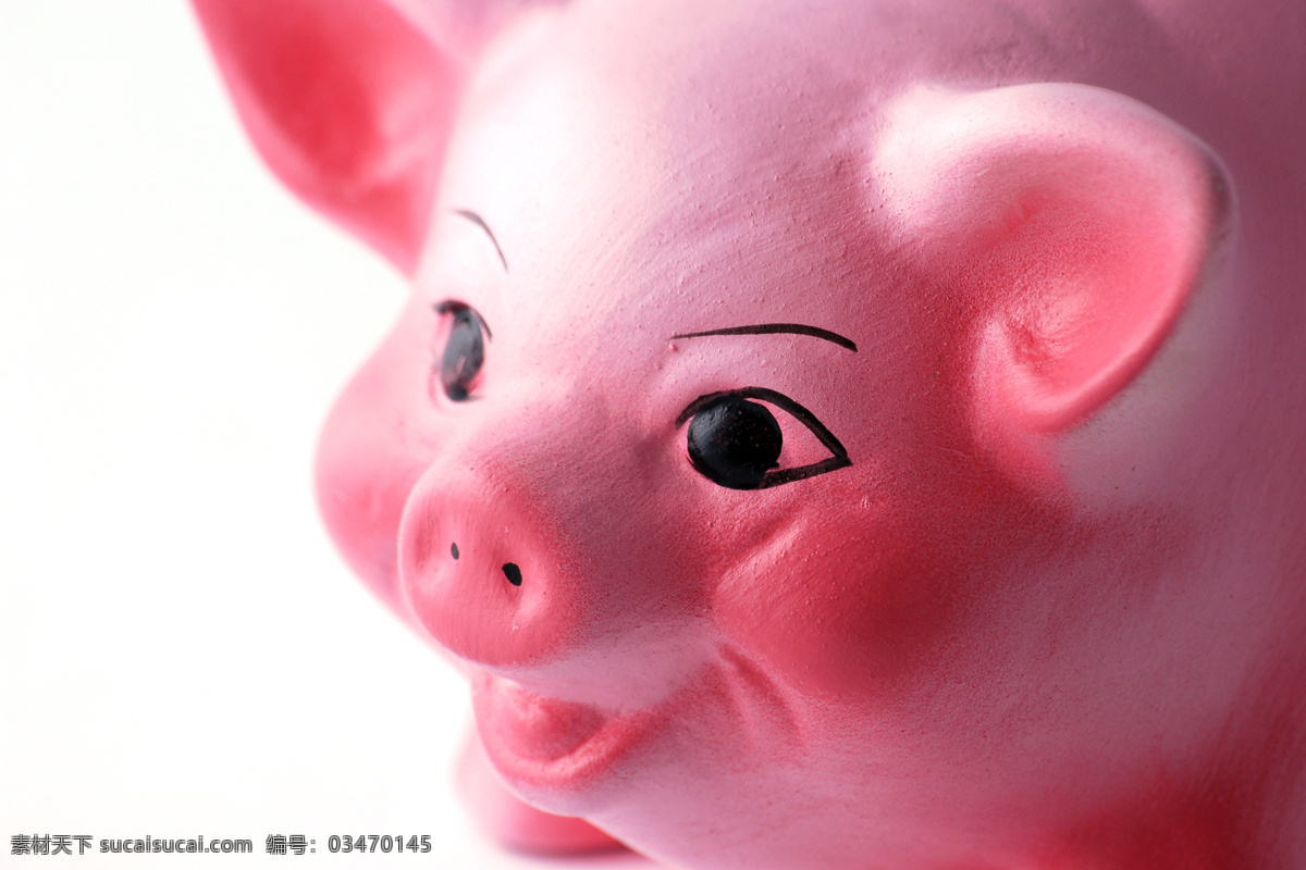 白背景 摆件 存钱罐 生活百科 生活素材 玩具 可爱 小 猪 小猪 玩偶 psd源文件