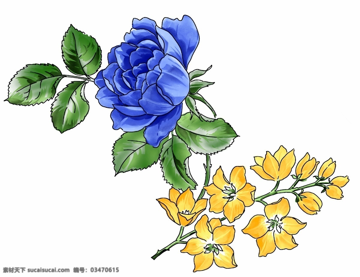 蓝 玫瑰 分层 花朵 蓝玫瑰 玫瑰花 源文件 模板下载 朵花 psd源文件