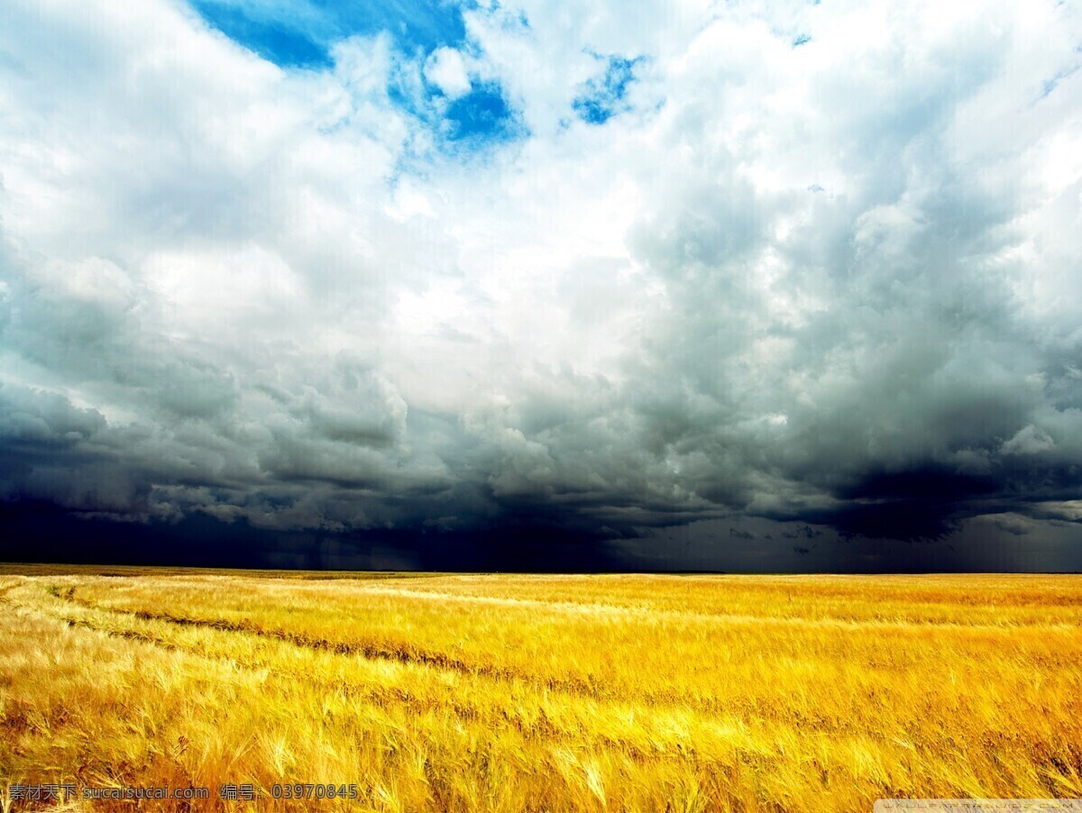 麦地 麦地素材下载 大麦场 麦场 农田 农场 农活 麦子 麦田 田园风光 自然景观 白色