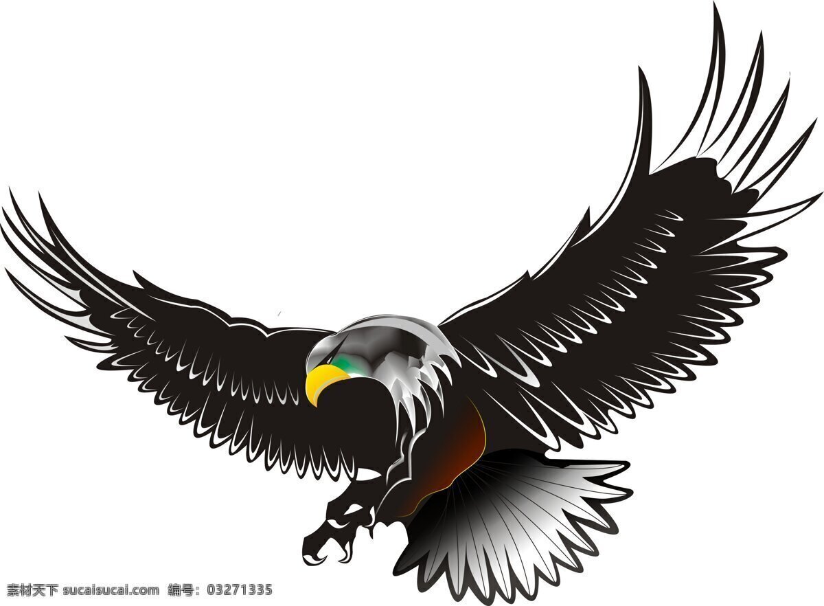 猎鹰 飞翔 鹰 手绘的鹰 黑鹰 动漫动画