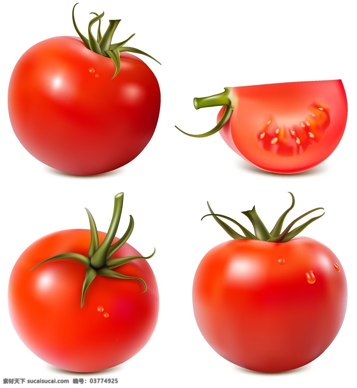 新鲜 西红柿 番茄 水果 生物世界 矢量 矢量图 矢量素材 其他矢量 矢量卡通 卡通设计