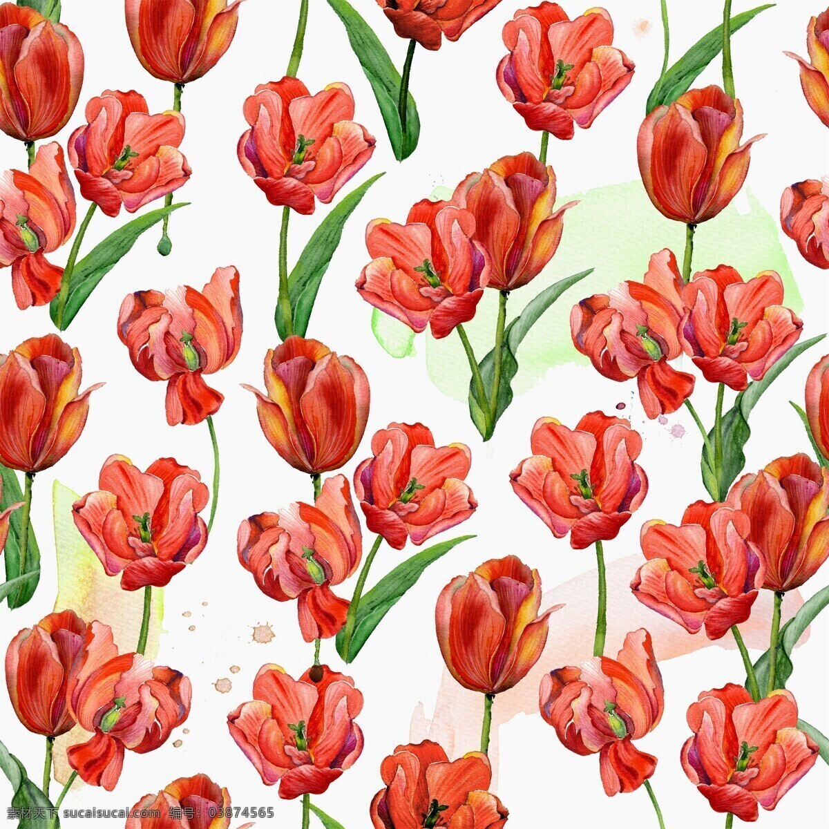 手绘 红色 郁金香 花朵 背景 图 绿色 货色 唯美 美丽 叶子装饰 背景素材